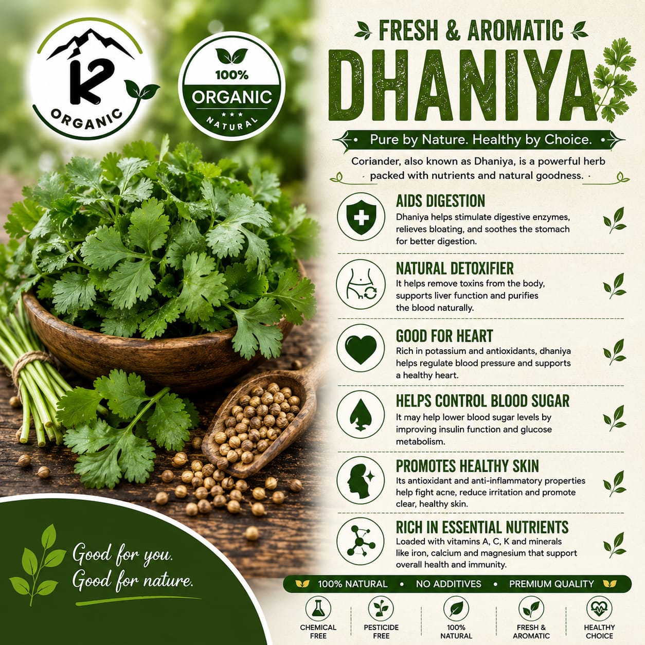 Cilantro/Dhanya