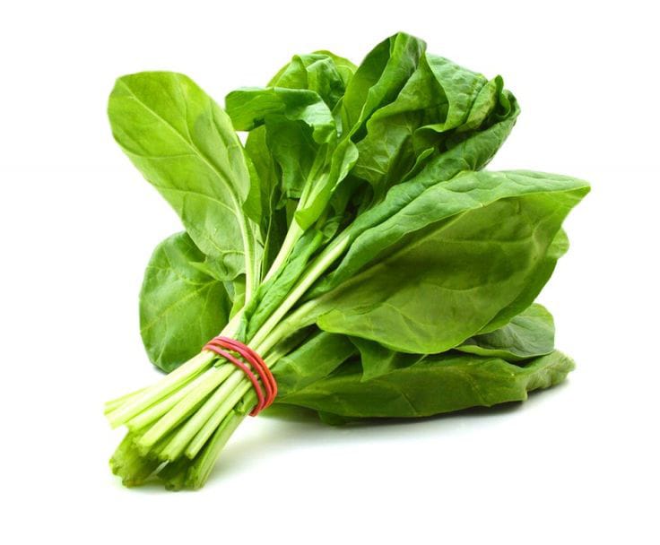 Palak/Spinach