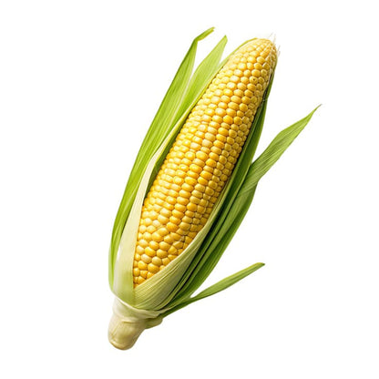Corn/Bhutta (1pc)