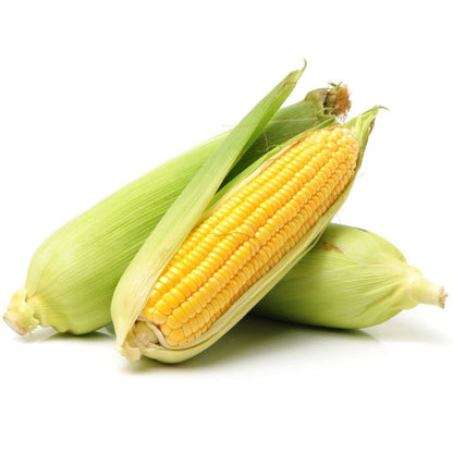 Corn/Bhutta (1pc)