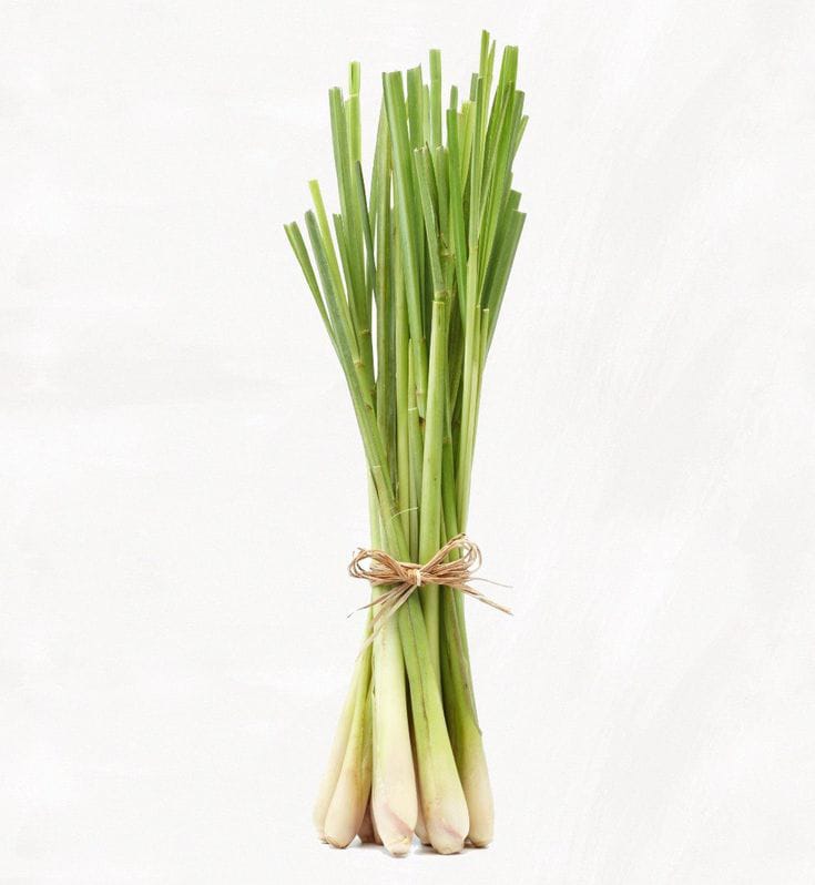 Lemon Grass Stick (1)