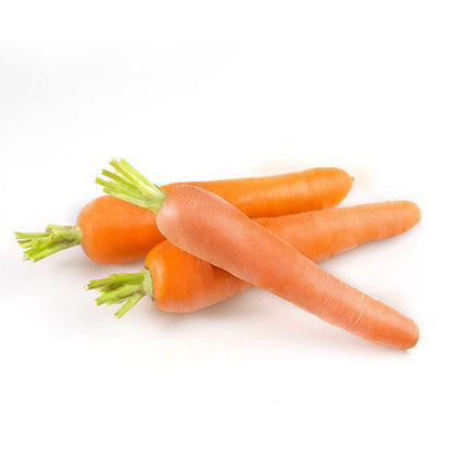 Carrot - Chinese/Orange