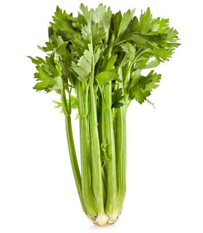 Celery - Local