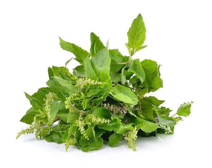 Basil Leaves - 50gm