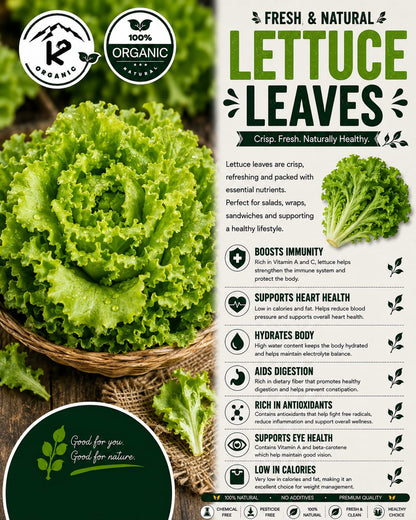 Lettuce Leaves/Salad Patta