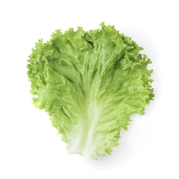 Lettuce Leaves/Salad Patta