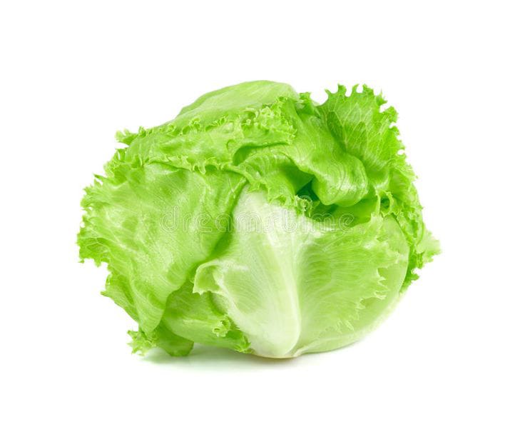 Ice Berg Lettuce