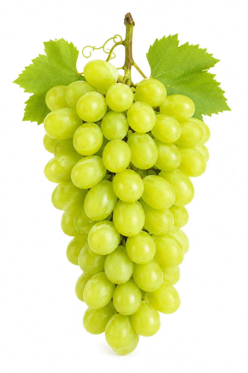 Grapes - Green